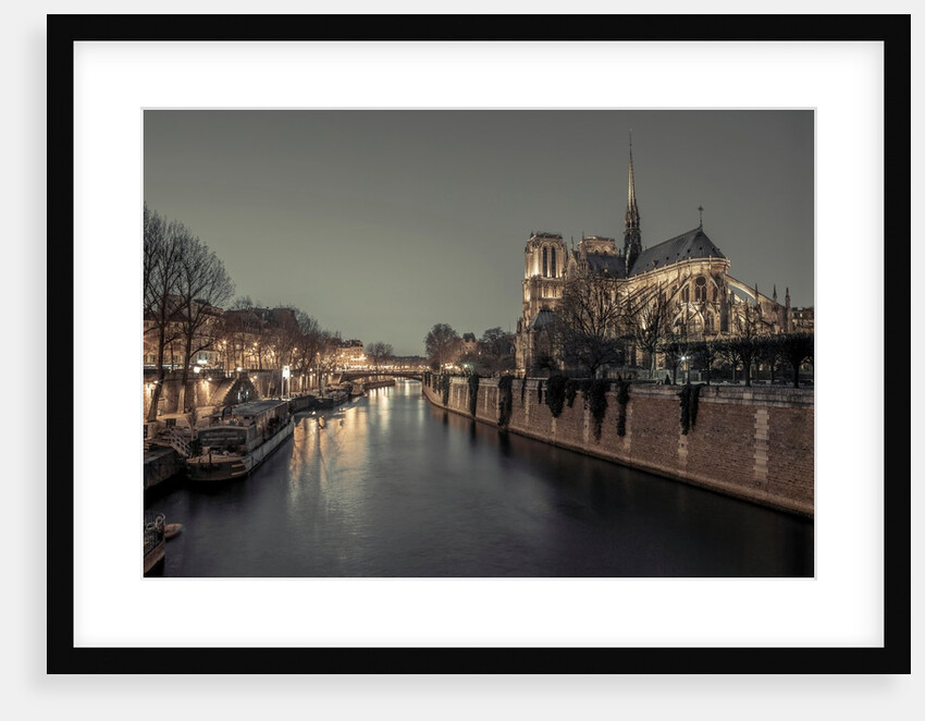 Notre-Dame de Paris, France by Assaf Frank